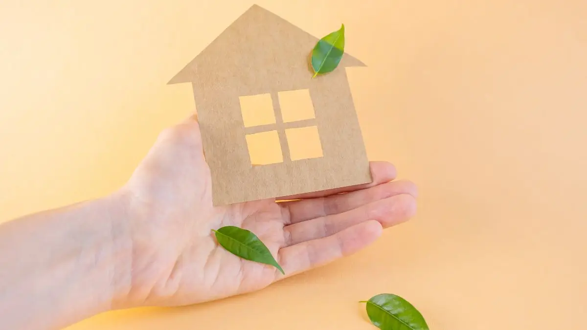 eco-friendly home renovation